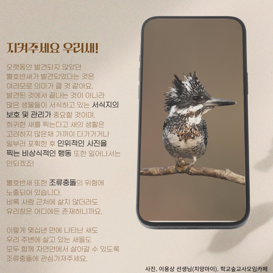 베이 지역 초원 탐험: 야생화와 새를 볼 수 있는 곳, image size:1080x1080