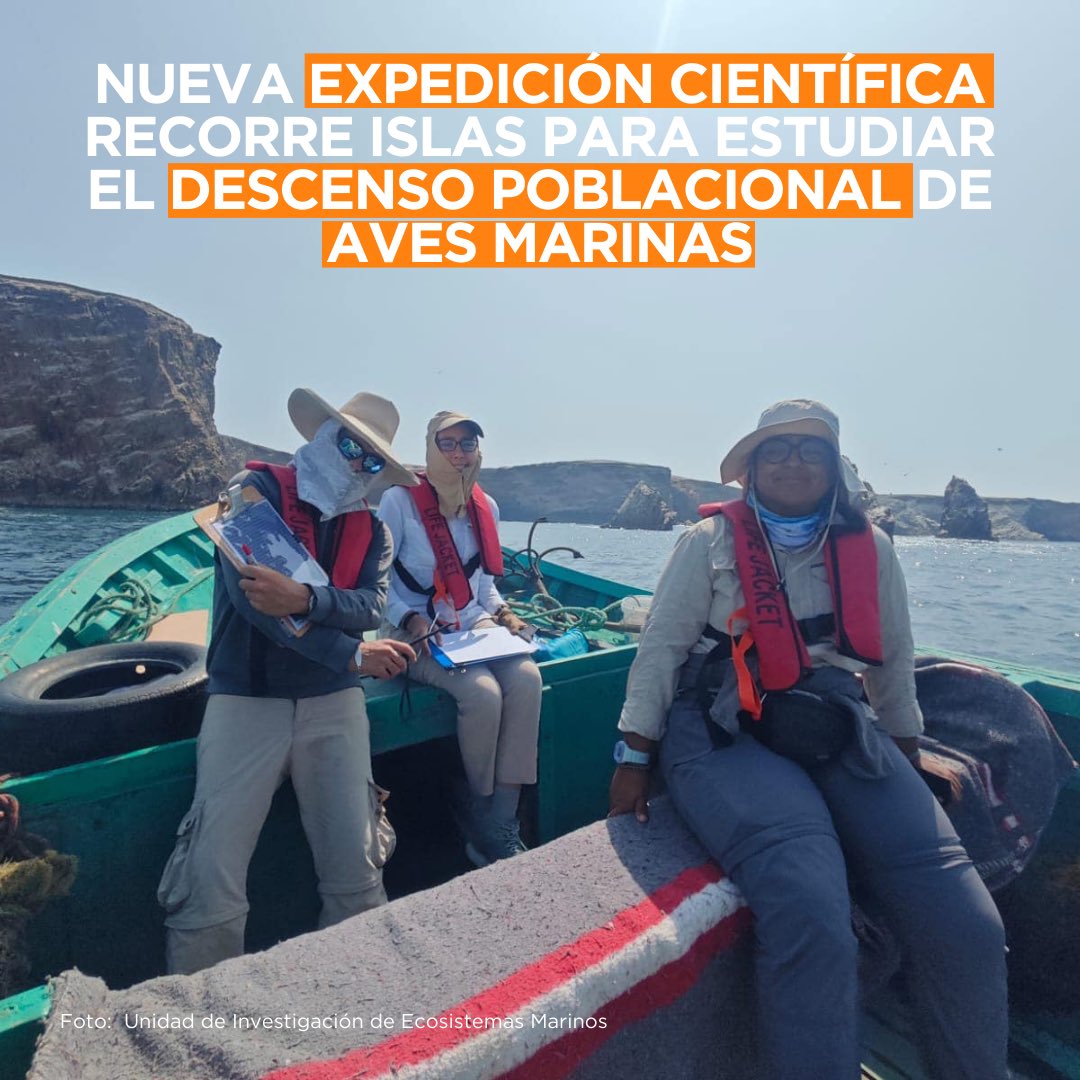 El equipo de la Unidad de Investigación de Ecosistemas Marinos de la Universidad Científica del Sur, en colaboración con expertos, está trabajando en un proyecto innovador que estudia tres especies de aves marinas después del brote de gripe aviar H5N1 🦠🦜⬇️