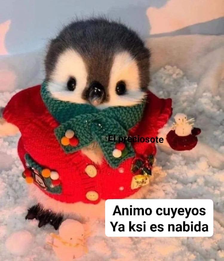 Pkal54's tweet photo. @Valr1aaa Igual me caes bien, muak https://t.co/1P7LWKeI8N