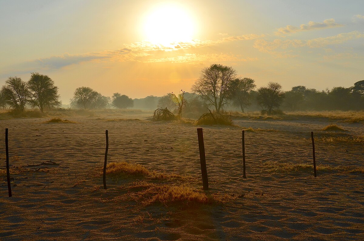 Morning is a serene and refreshing time. Enjoying the morning can be as simple as sipping a hot cup of coffee or tea, watching the sunrise, or taking a peaceful walk. It's a great time to meditate, exercise, or plan your day, setting a positive tone for a wonderful day ahead.