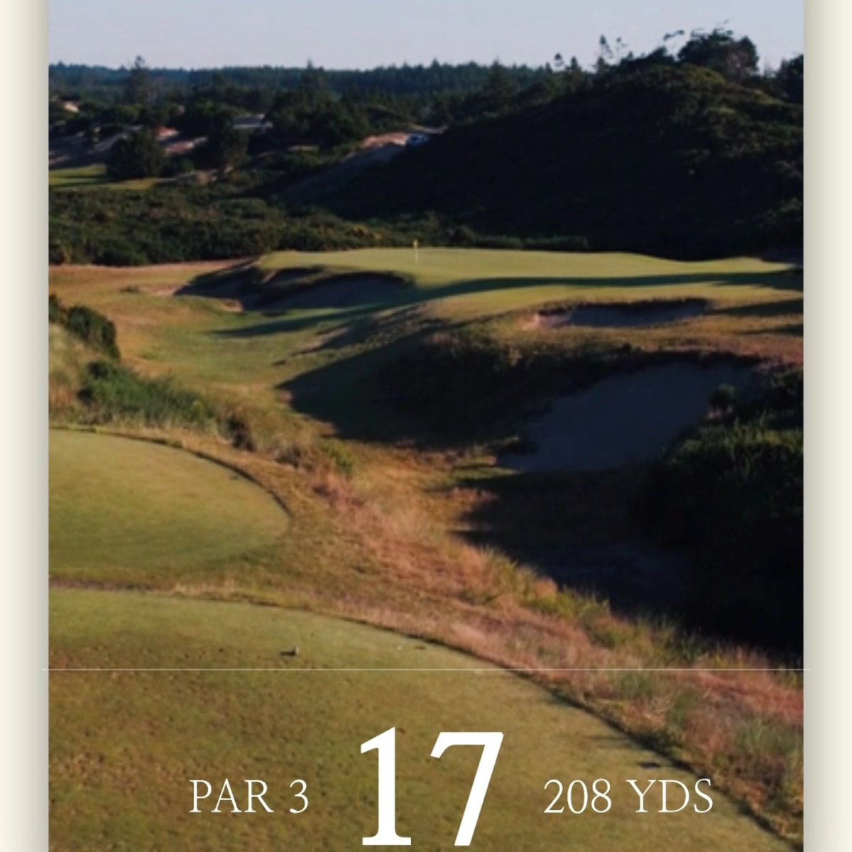 yourlocalmuni's tweet photo. Congratulations to our guy Dugg @raezer62 playing a round at @bandondunesgolf and got a hole in one on the 17th Hole.

Dugg - "Pin was tucked back left and Smoothed a 5 iron, Nice high draw that hit and rolled like it had eyes, Twas a thing of beauty"

Dugg is pictured with Jody of @skiers and Mike Kaiser, who built and owns Bandon Dunes. 

17th Hole - An approach that misses the green on this short, downwind hole, will leave you one of the most difficult up-and- downs on the course. Figure your yardage to the front of the green, because balls will certainly release to the hole.

🔗 Discover more: https://t.co/PJuq52Axq8

#SupportYourLocalMuni #localmuni #localmunicanada #golfing #golf #golflife #golfer #golfcourse #golfaddict #golfers #golfclub #golfislife #golftips #golfpro #golfday #golfcoach #golfshot #golfisfun #golftradition #golfcommunity #canada #golfcanada #golfseason #golfstore #golfevent #golfalberta #golfontario #golfquebec #golfmanitoba #golfbritishcolumbia