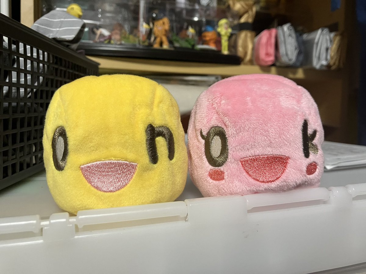 大輔べべ tweet media