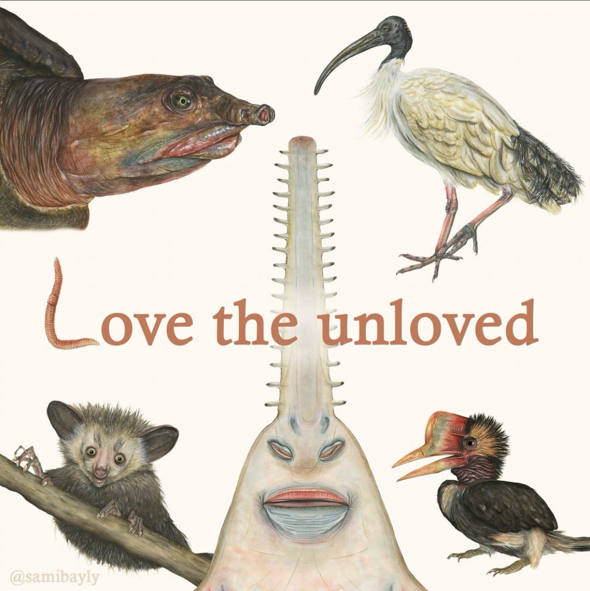 ︎ ︎ ︎ ︎ ︎ ︎ ︎ ︎ ︎ ︎ ︎ ︎ ︎ ︎ ︎ ︎ ︎ ︎ ︎ ︎ ︎ ︎ ︎ ︎ ︎ ︎ ︎ ︎ ︎ ︎ ︎ ︎ ︎ ︎ ︎ ︎ ︎