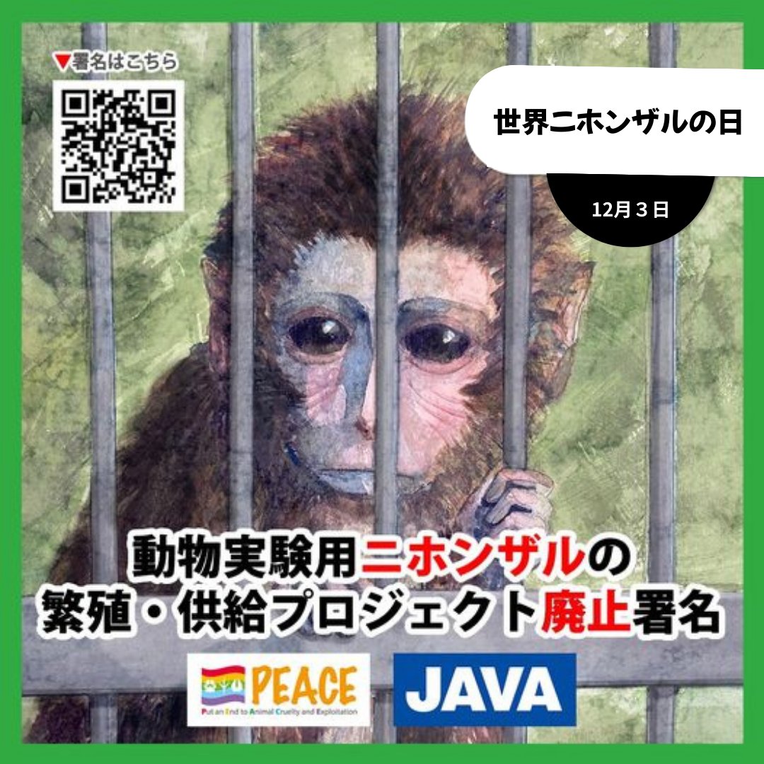 JAVA_ANIMAL's tweet photo. 今日12月3日は「世界ニホンザル日」
JAVAとPEACEは、大規模動物実験プロジェクトであるナショナルバイオリソースプロジェクト「ニホンザル」の廃止を求める署名活動を展開しています。拡散をお願いします!
https://t.co/HDyA0ah9Xz
#WorldJapaneseMacaqueDay #世界ニホンザルの日 #NBRPニホンザル https://t.co/Cwl8hjSNKq