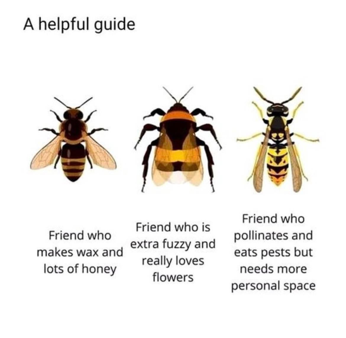 thehealthb0t's tweet image. 