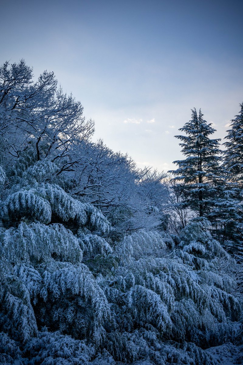 white_snow_fall's tweet photo. https://t.co/MD5rpJg9lO