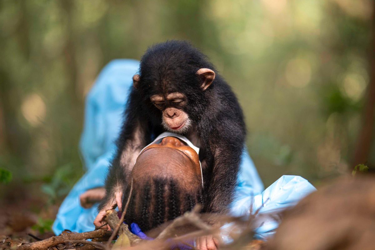 Tacugama tweet media