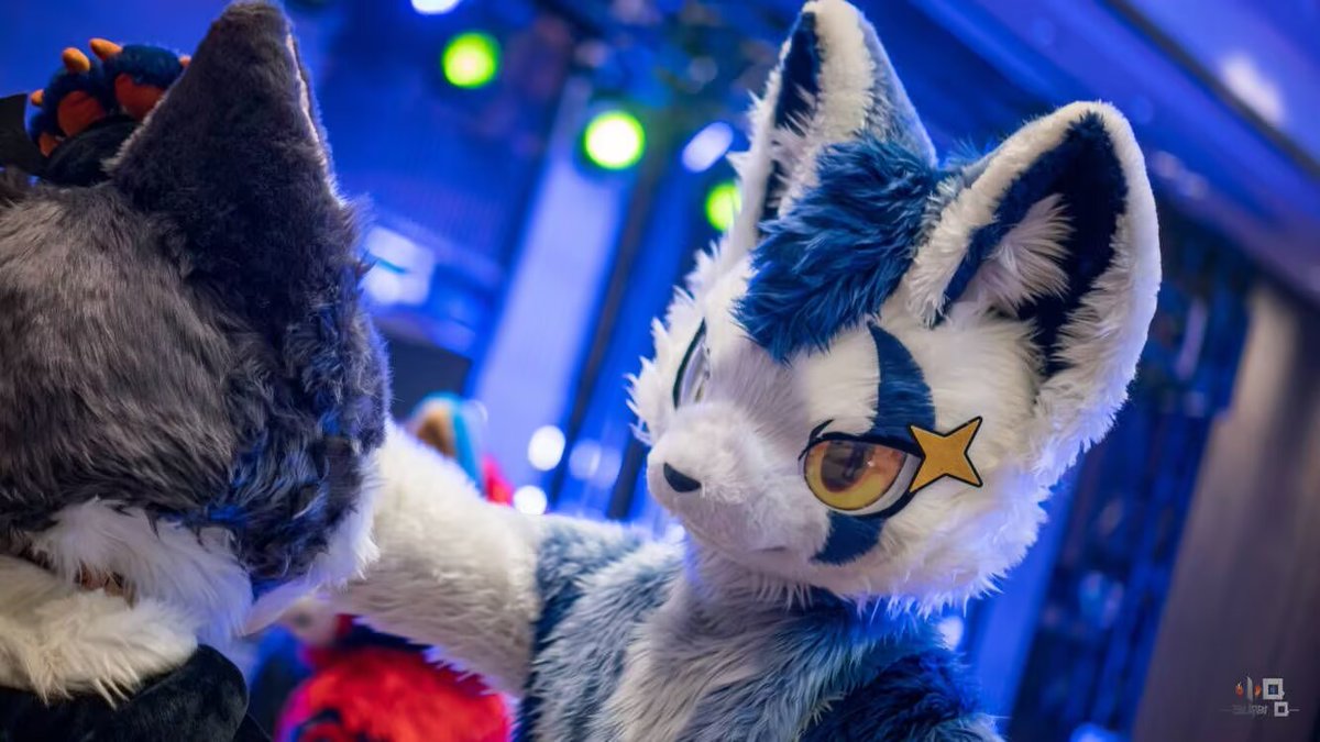 AdminBurst's tweet photo. #FursuitEveryday
看看是哪只猫这么逊啊，摸摸头
逊🐱： @KuraTatsu_
拍摄： @yeKevin15 https://t.co/eCRo35CnqB