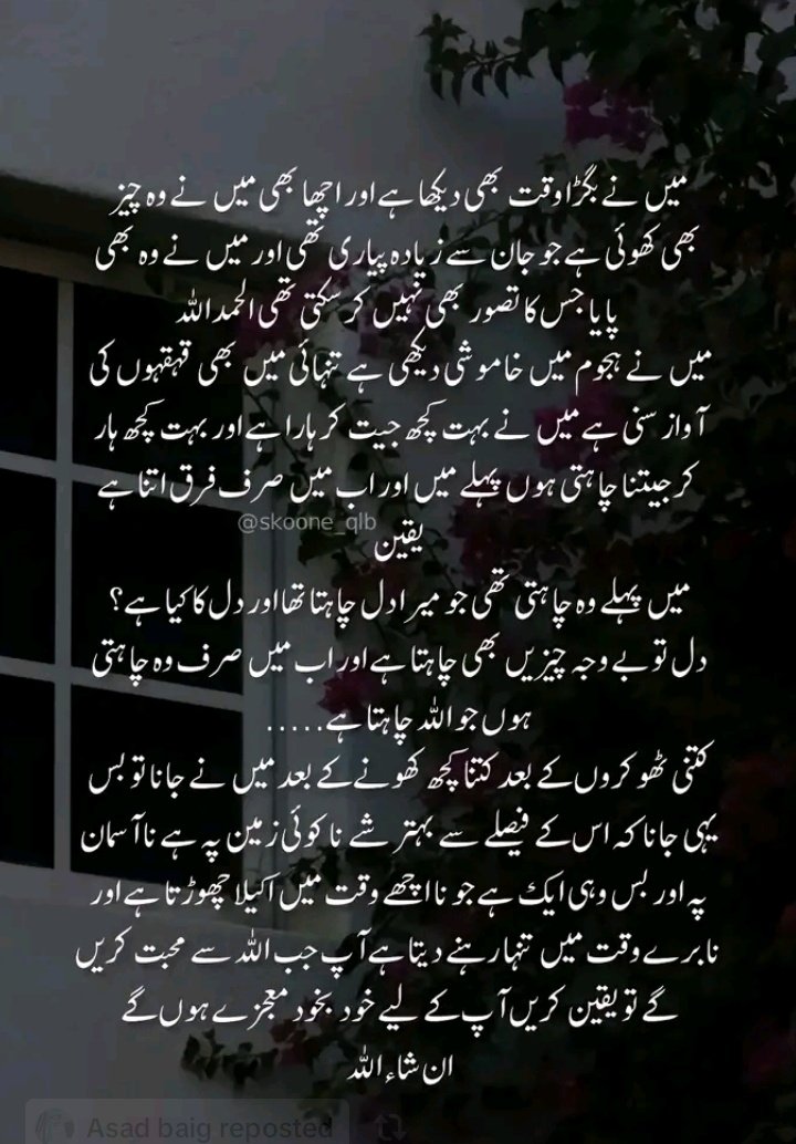 Shama10 tweet media