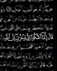 ماجد tweet media