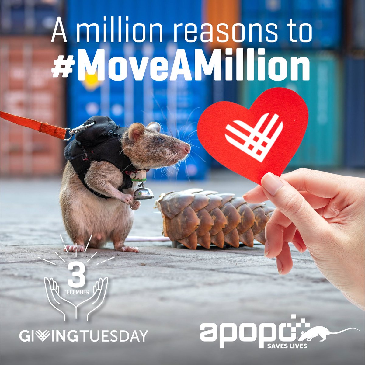 herorats's tweet photo. Happy #GivingTuesday! 🌟 Let’s create a better world together. ❤️  

Today, #GlobalGiving offers a $750K incentive fund, boosting the impact of your donation to #APOPO. Help us unlock #matchfunds for our life-saving work: https://t.co/7K1t8bMNw3 

#UnleashGenerosity #MoveAMillion https://t.co/GZLeXS9SJc