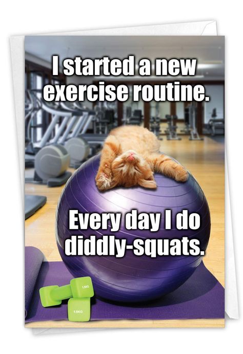 realbobandbrad's tweet photo. Whether youβre hitting the gym or taking it slow, we all start somewhere! Letβs keep moving and make it fun! π₯
Whatβs your go-to workout routine to get things started? Share with us below! π
#FitnessJourney #DiddlySquats #SmallStepsBigWins #ExerciseHumor #BobAndBrad https://t.co/8TeXwln1Zu