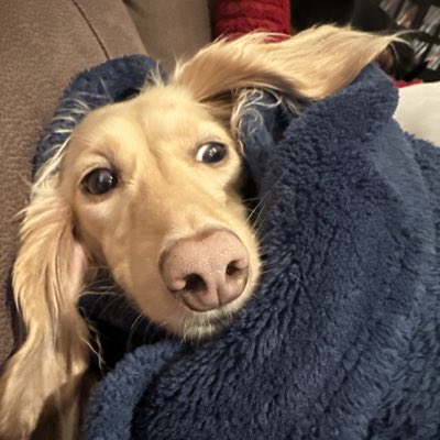 #NewProfilePic