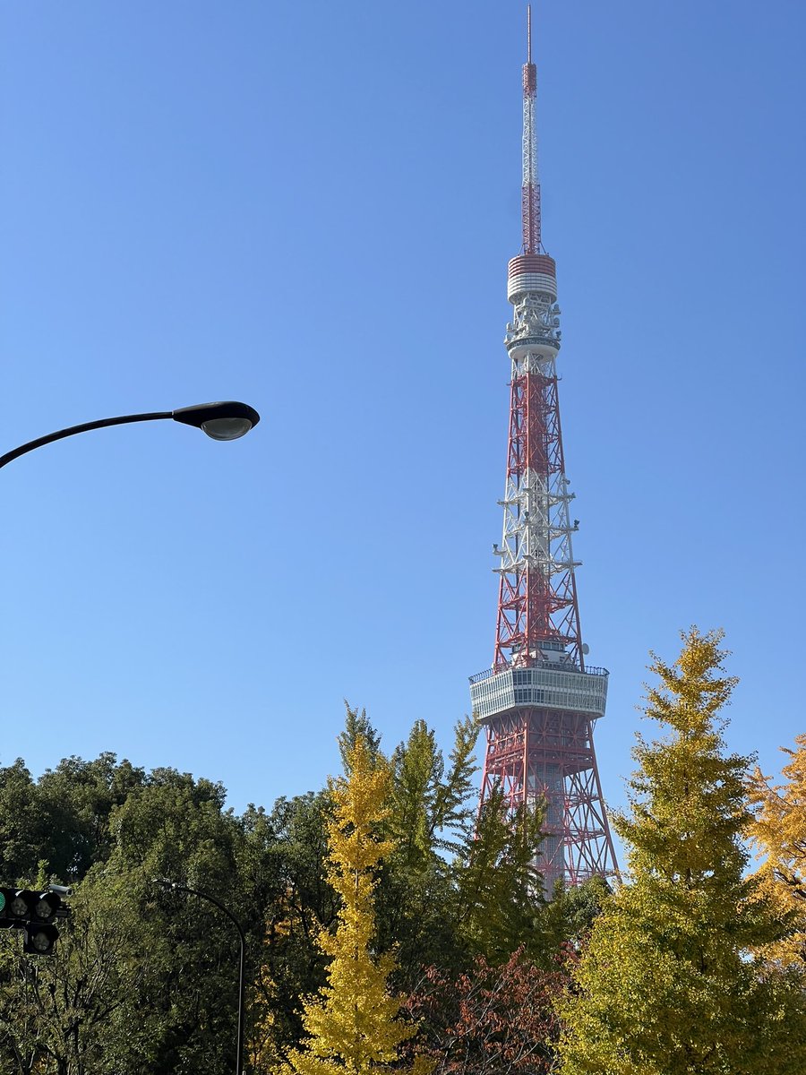 peggy_wang's tweet image. In Tokyo this week for SIGGRAPH Asia! Lmk if you’re around and want to meet up :)