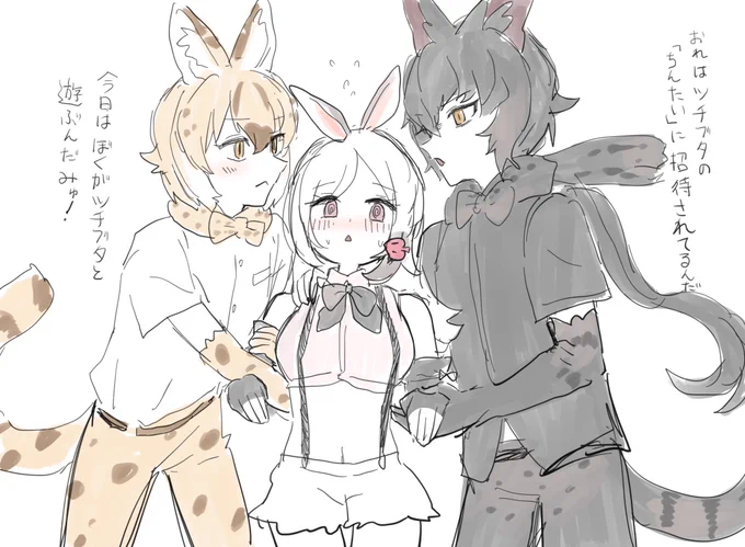 #アニマルボーイ 