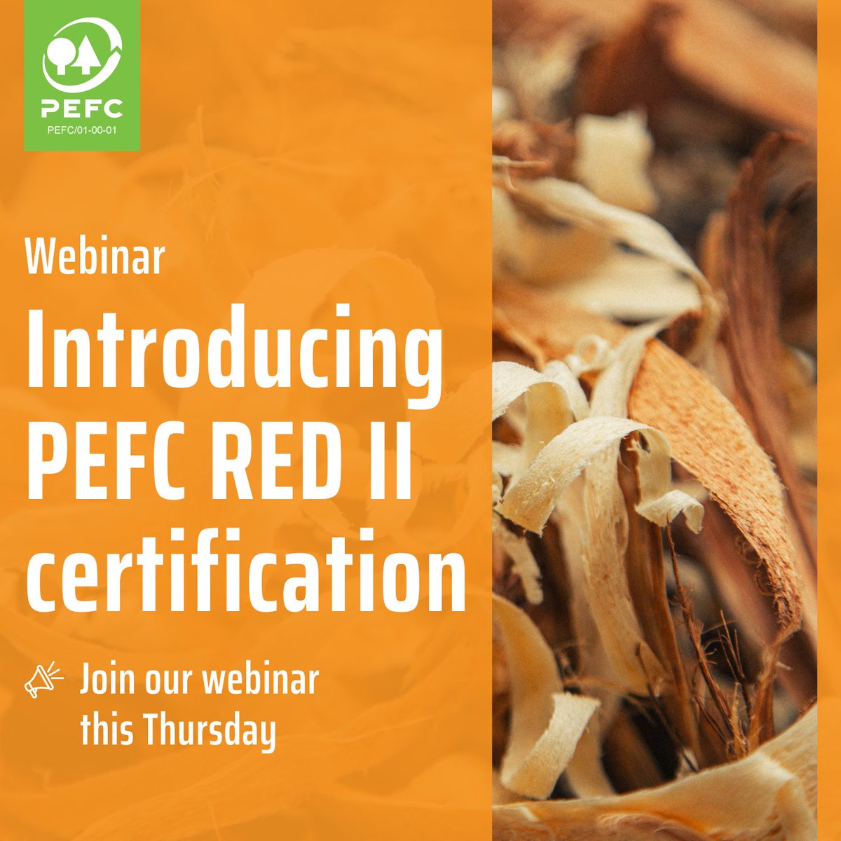 Don’t forget to register for the PEFC RED II Webinar ⏰

On 5 December at 10:00 CET and 15:00 CET, we’ll introduce you to the new #PEFCREDII certification scheme, an innovative tool to help companies demonstrate their #REDII compliance.

Register here 👉 treee.es/rediiwebinar