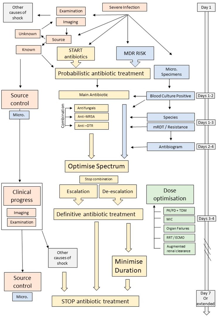 Today's Paper of the Day is the use of antimicrobials for bloodstream infections in the ICU
criticalcarereviews.com/latest-evidenc…

Join us to read 1 paper per day and stay up-to-date as we cover the spectrum of critical care across 2024