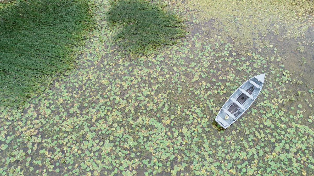 CathDalt's tweet image. Magnificent Images from our new OPEN ACCESS book: #LakesinIreland Mirrors of Change #lakes #Loughs #wetlands Thankyou RuthLittle 🙂 @EPAIreland Download at oar.marine.ie/handle/10793/1… @MarineInst @NPWSIreland @heritabeHubIRE
@swanireland
@inlandFisherIE
@irishwildlife
@ellamcsweeney