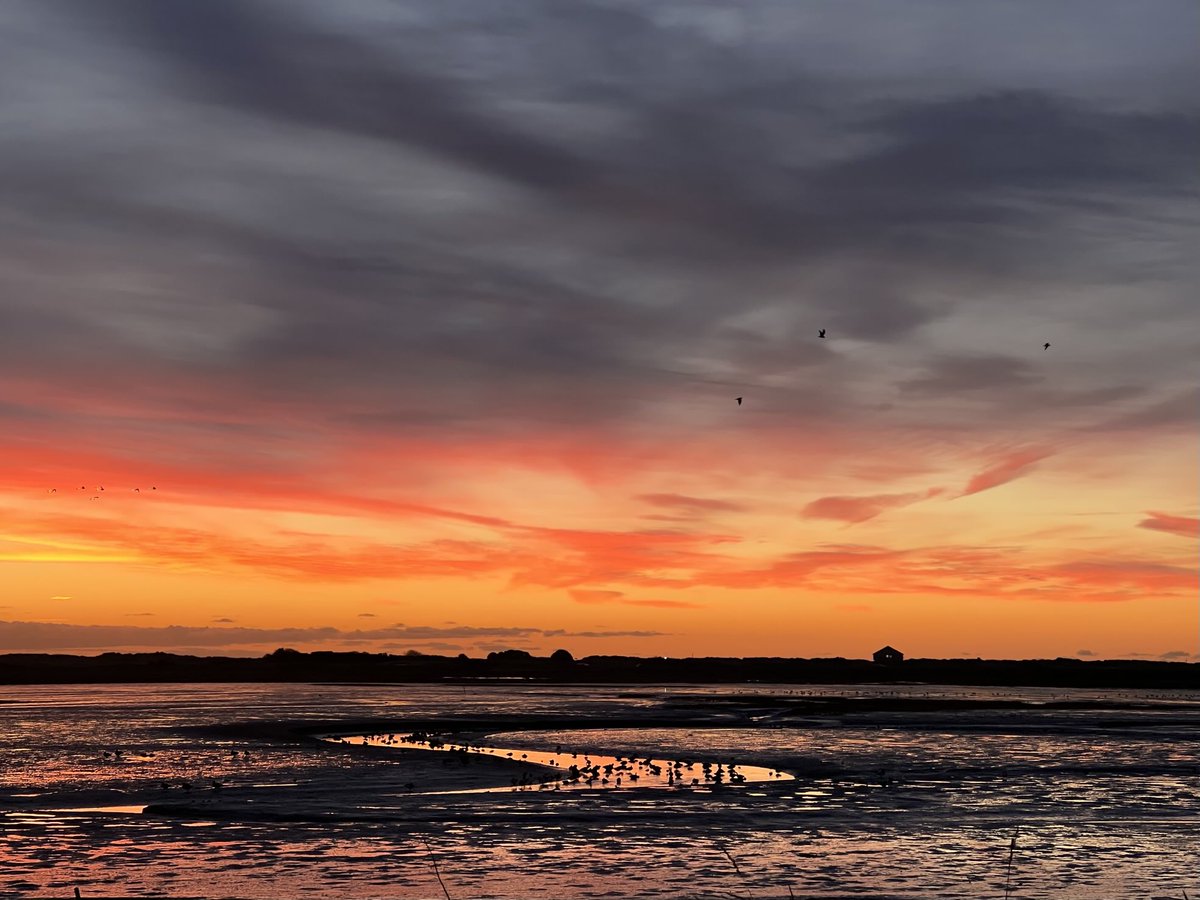 emmabuk72's tweet photo. #dublin #dublinsunrise https://t.co/PaQ7I1PRTN