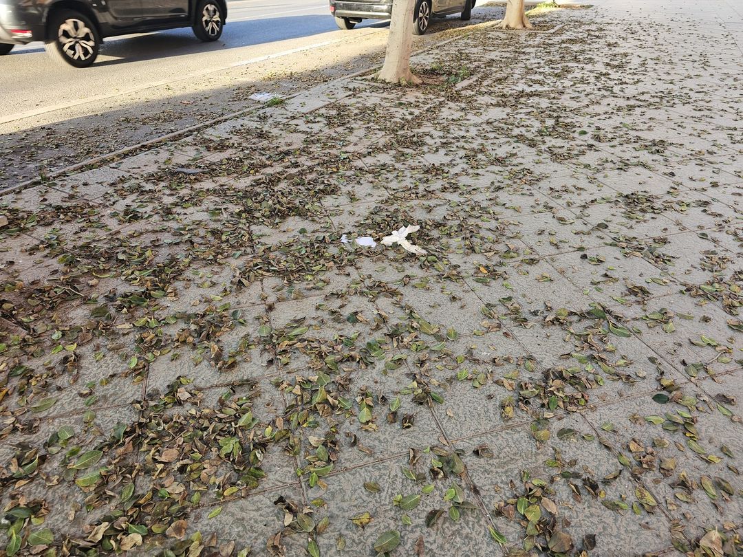 AvvGoleta's tweet photo. Esta AVV trasladó al Área de Medio Ambiente la necesidad de limpieza extraordinaria de las calles del barrio debido a la caída masiva de hojas del arbolado y protocolos tras los partidos de fútbol causados por actividades incívicas. Rápida actuación de Antonio Urdiales. https://t.co/7A6QrcW5ht