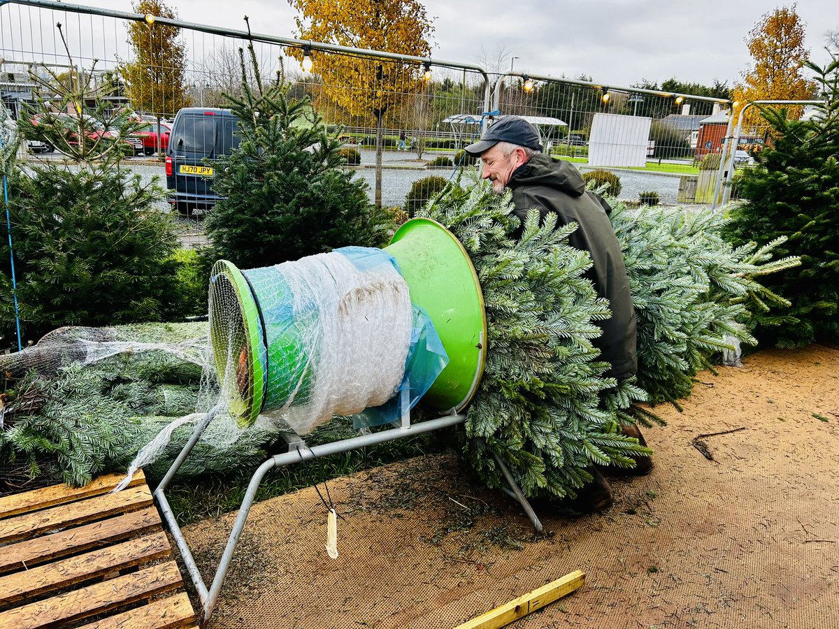 BattyBattsPZ's tweet photo. Thank you to the #ChristmasTree team @dartsfarm for helping me get an 11ft tree into a @smart_worldwide 👍🎄#HoHoHo #Exeter #DartsFarm https://t.co/H9fBxh4Y2r