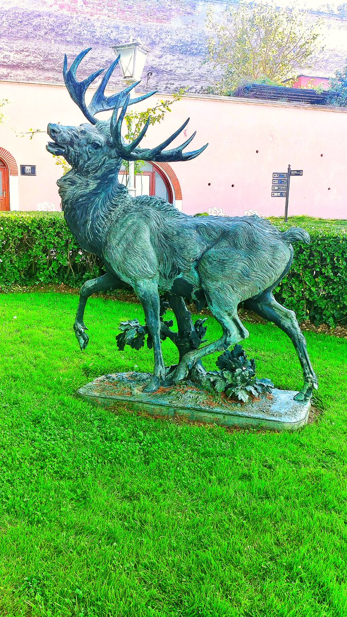 Saçlarında bahar kokusu mu var
Rüzgarla beni sarhoş ediyor