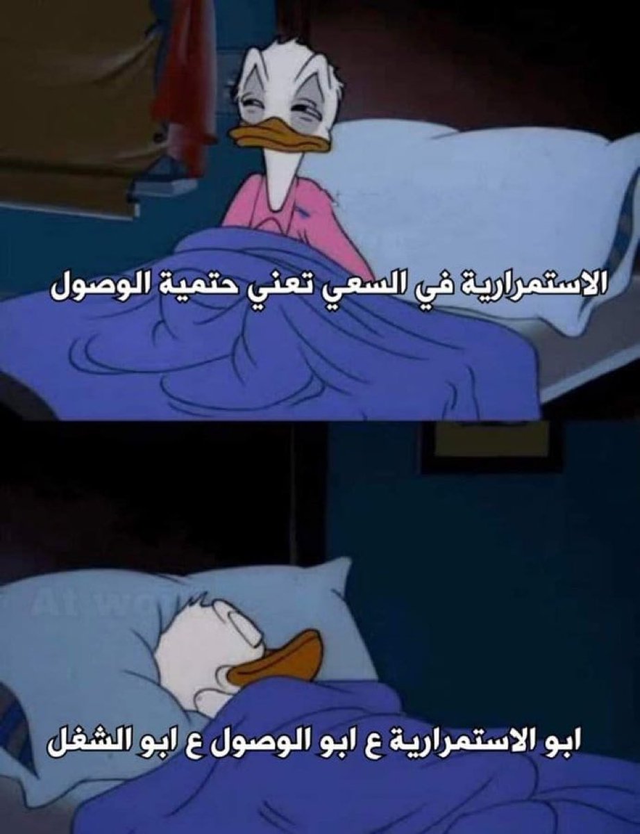 كل يوم الصبح :