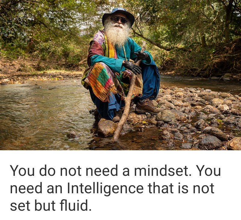 withsadhguru's tweet photo. To all those philosophers talking about Mindset 💀 https://t.co/jI13ELJeOg