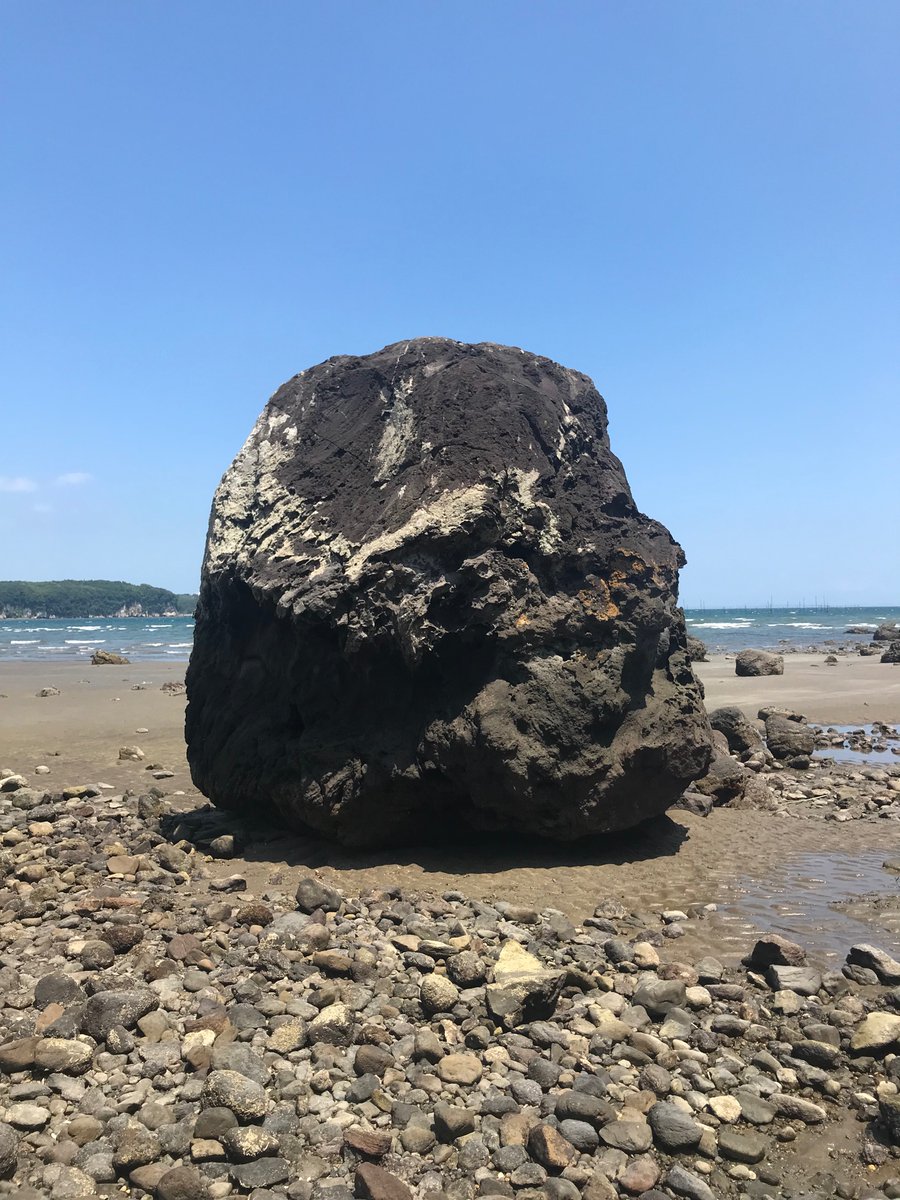 Yosida_111's tweet photo. 少し前に、故郷の近くの浜辺で撮ったオブジェティックな岩と木と小石たち。 https://t.co/bm0msGKNPl