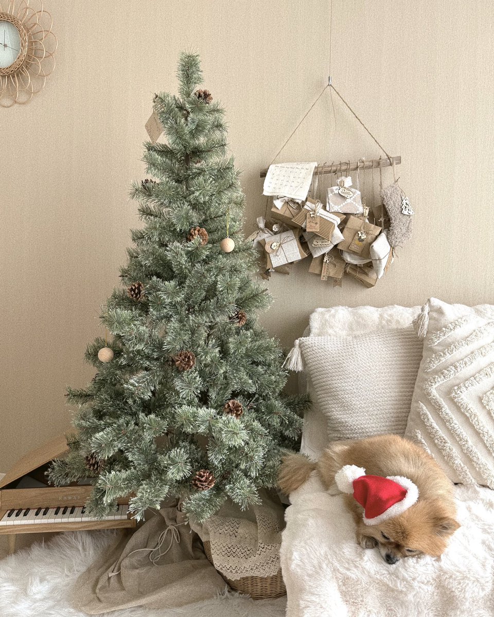 ___fuminamazu's tweet photo. 今年は存在感あるツリーが欲しくて急遽楽天でポチッたやつ🎄
55%offクーポンで6000円しないくらいで買えたんだけどクオリティ高いし、くすみグリーンでかわいすぎたあああ https://t.co/DQTLd6zhDf