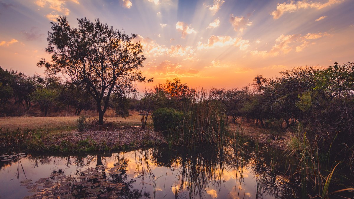 NomadsNature's tweet photo. Segaia Bush Retreat 2018: Photo Highlights - Part 2

As the sun dips below the horizon at Segaia Bush Retreat, the sky transforms into a breathtaking tapestry of colors. This serene escape offers the perfect backdrop for those seeking tranquility and connection with nature. https://t.co/AP8c33xUkU