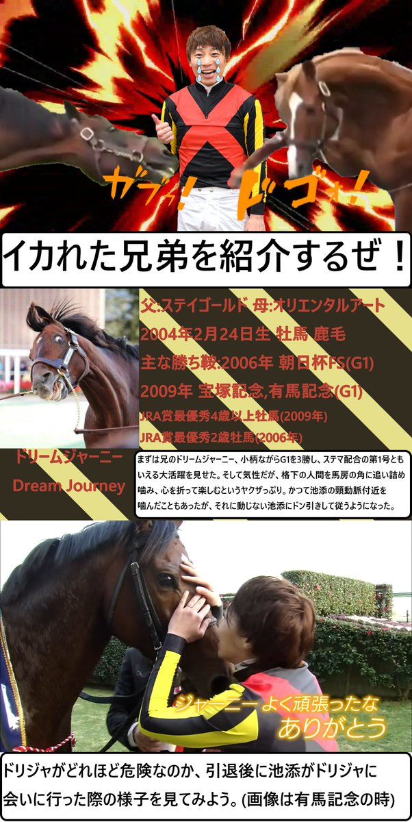 ドリジャだけはガチで危険なので引退するまで会いに行けない話好き