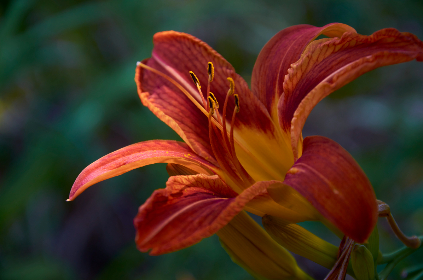 However, as of the end of November, at least 14 of the applicants awaiting final decisions, including Coinbase and Bitget, have withdrawn their submissions.