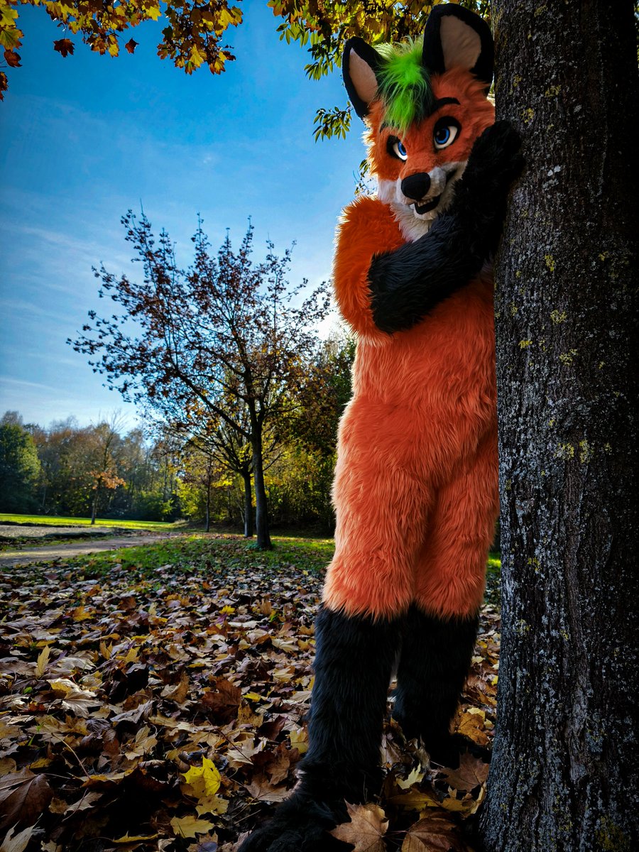 Lainy Fox tweet media