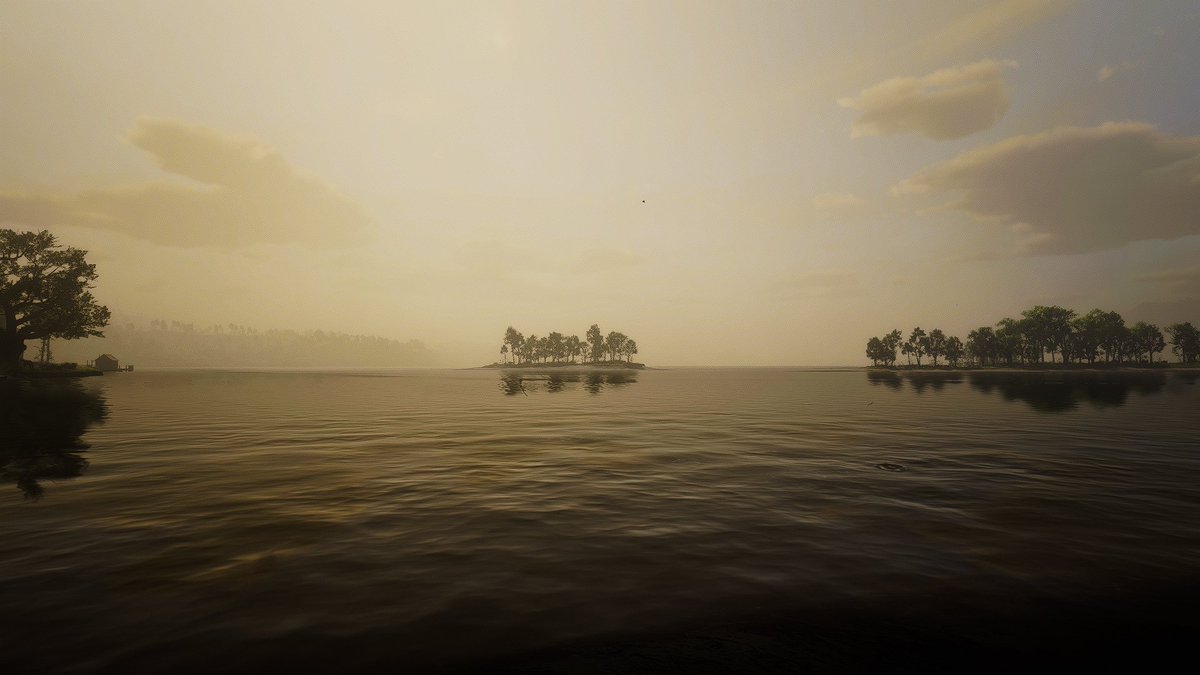 #RedDeadRedemption2 #RDR2 
#ThePhotoMode #PhotoMode 
#VirtualPhotography #VPRT