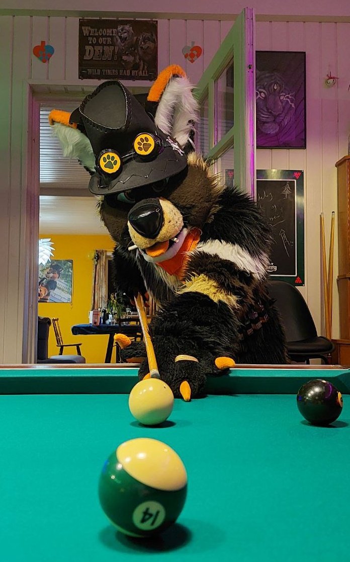 TheKareliaFursuits ๐ Dokomi, EF29, Furnavia. (@thekarelia) on Twitter photo December 3rd:
One of the very first items I bought when moving into our house was this old pool table. Knowing it would be a super fun thing to have when hanging out with friends ๐๐ฑ
Here's with <a href="/LuckyTiger33/">Lucky-Tiger ๐ Furizon</a> <a href="/BlackymoonOtter/">Blackymoon ๐ EF2025</a> @Titus_Saber <a href="/Dougiewulf/">Dougie</a> and <a href="/CormackWolf/">Cormack</a> December 3rd:
One of the very first items I bought when moving into our house was this old pool table. Knowing it would be a super fun thing to have when hanging out with friends ๐๐ฑ
Here's with <a href="/LuckyTiger33/">Lucky-Tiger ๐ Furizon</a> <a href="/BlackymoonOtter/">Blackymoon ๐ EF2025</a> @Titus_Saber <a href="/Dougiewulf/">Dougie</a> and <a href="/CormackWolf/">Cormack</a>