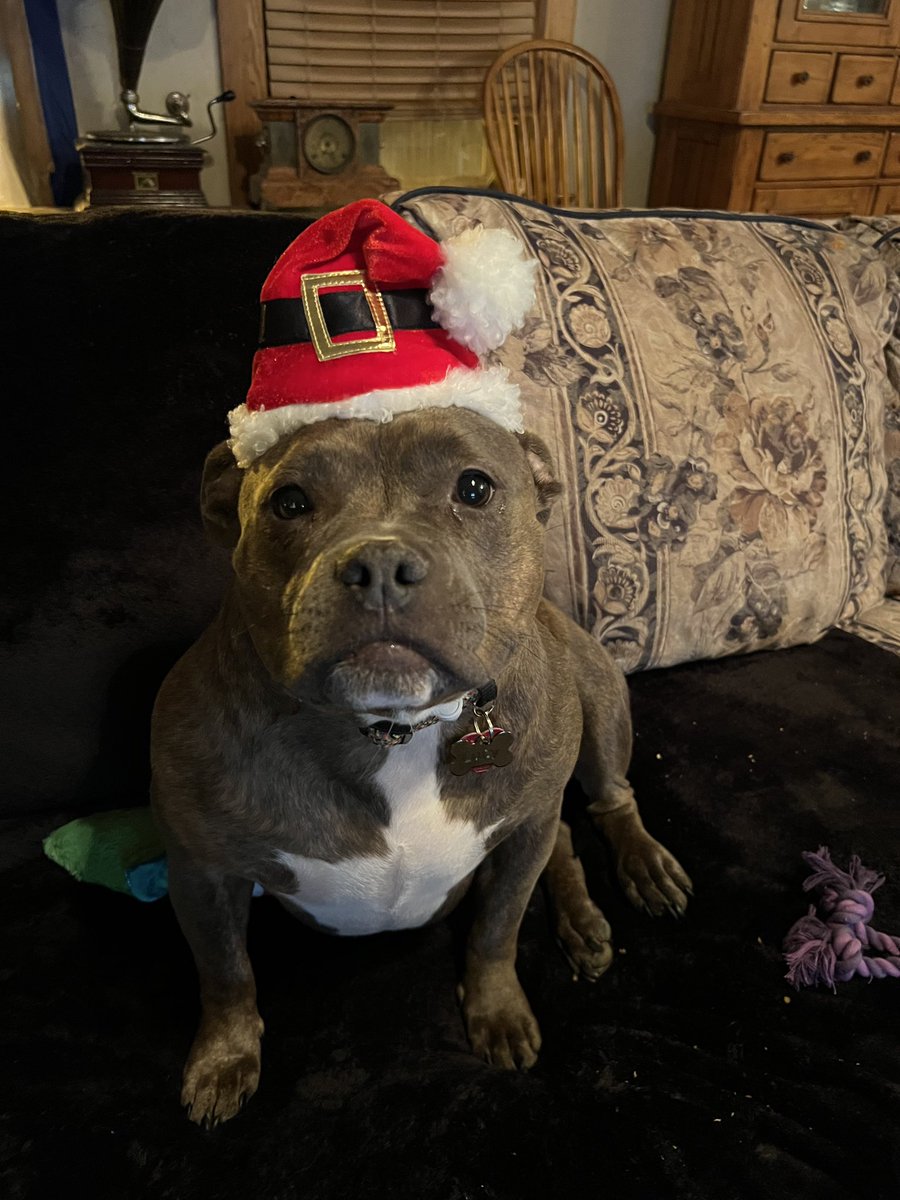 Lucy says Merry Christmas.