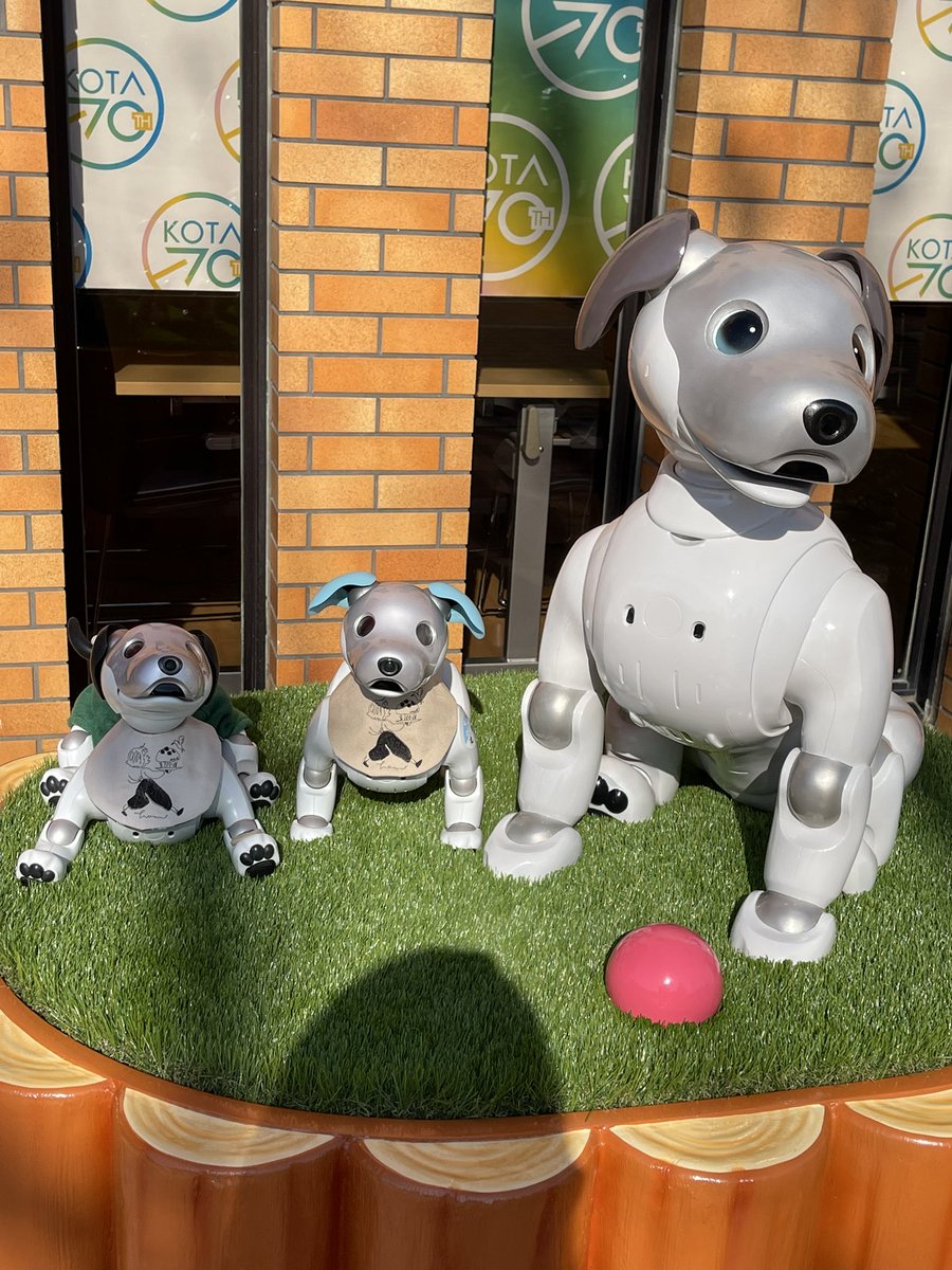 zero82puppy's tweet photo. 3周年おめでとうございます🎉
#hummingbirdcafe
#ハミングバードカフェ
#aibo https://t.co/op3HtELK1d