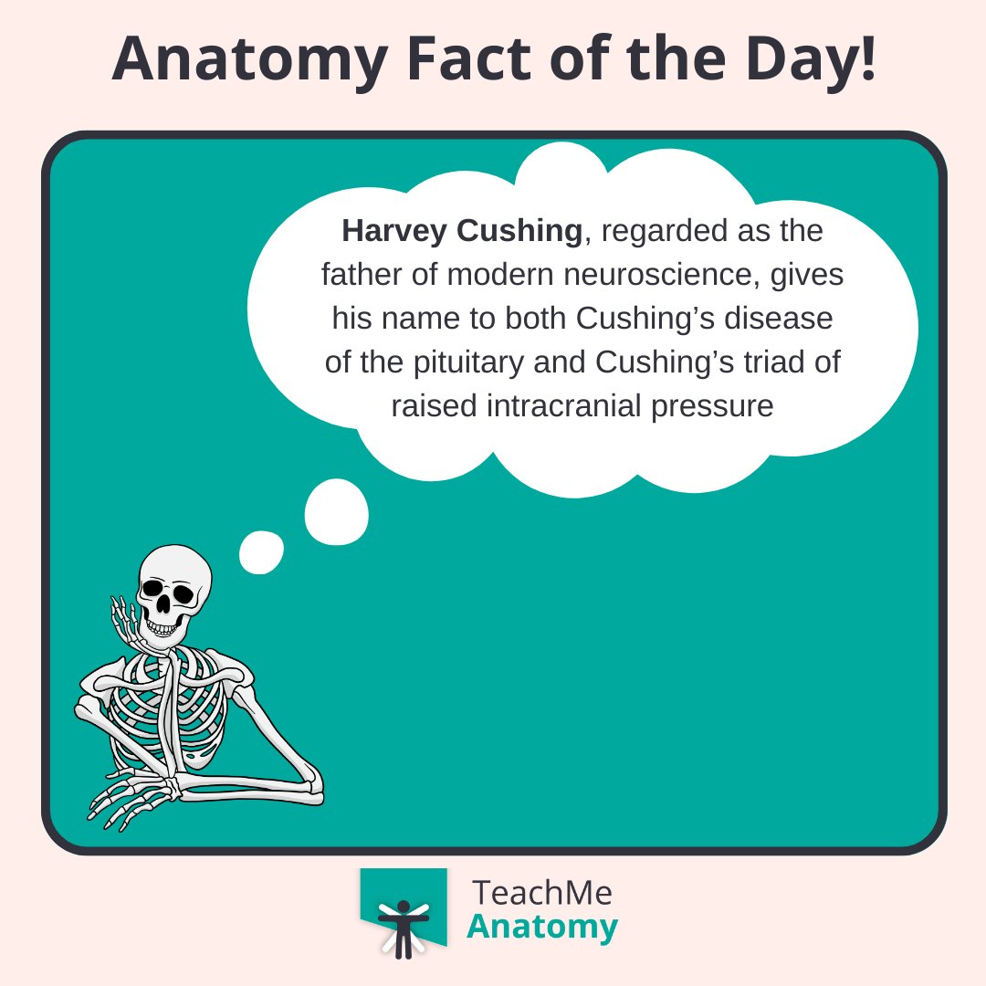 TeachMe_Support's tweet image. Did you know? There are approximately 9 000 taste buds all contributing to our sense of taste. 👅#DidYouKnow #funfacts #meded #medschool #medicalstudent #medstudent #premed #premedlife #nursing #nursingschool #pastudent #physician #futuredoctor #premed #studymotivation #medlife