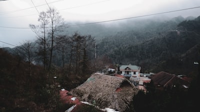 Stefhan27265797's tweet image. Photo By Tiffany Nguyen | Unsplash 
 #plantbased #outdoors #buildinginstallation #buildingsupplies #natureinclusive