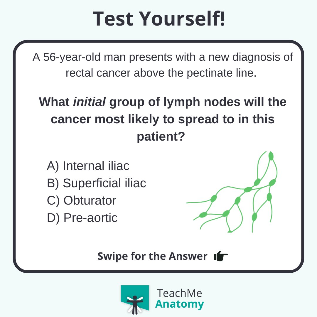 TeachMe_Support's tweet image. Test yourself 🏆 Which initial group of lymph nodes will the cancer most likely spread to? #quiztime #QuizoftheWeek#meded #medschool #medicalstudent #medstudent #premed  #nursing #nursingschool #pastudent #physician #futuredoctor #premed #studymotivation #medlife #surgery