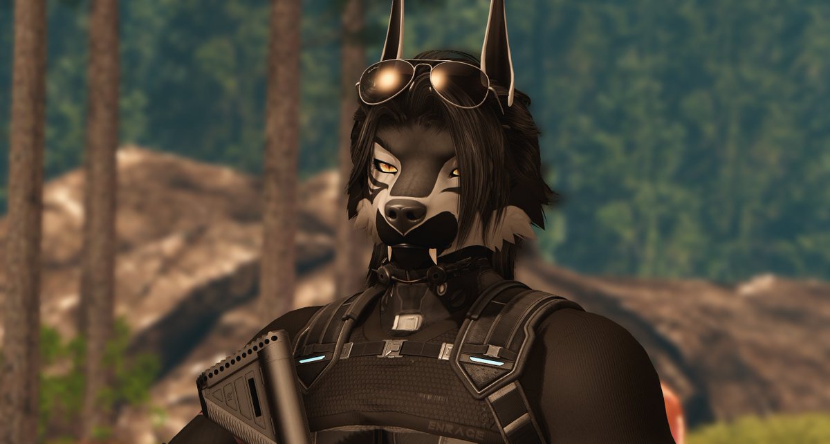 GaliusLk's tweet photo. Suns out Dogs Out.~

#Secondlife #slfurry https://t.co/vK1pzWcxiI