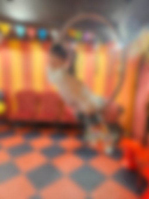 Twitterのコスプレ画像3