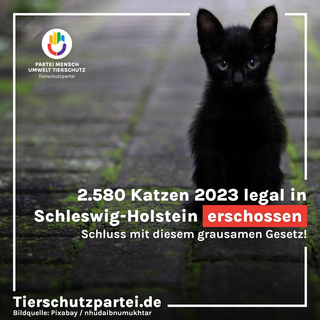 PARTEI MENSCH KLIMA TIERSCHUTZ - Tierschutzpartei tweet media