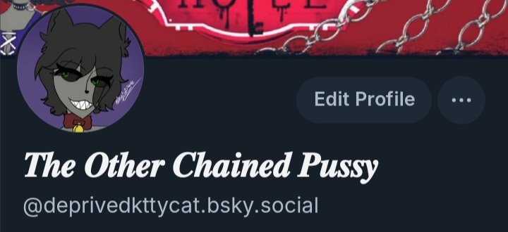 ~{🐱}

I have brought Serena to bluesky

My followers! Please see me there.