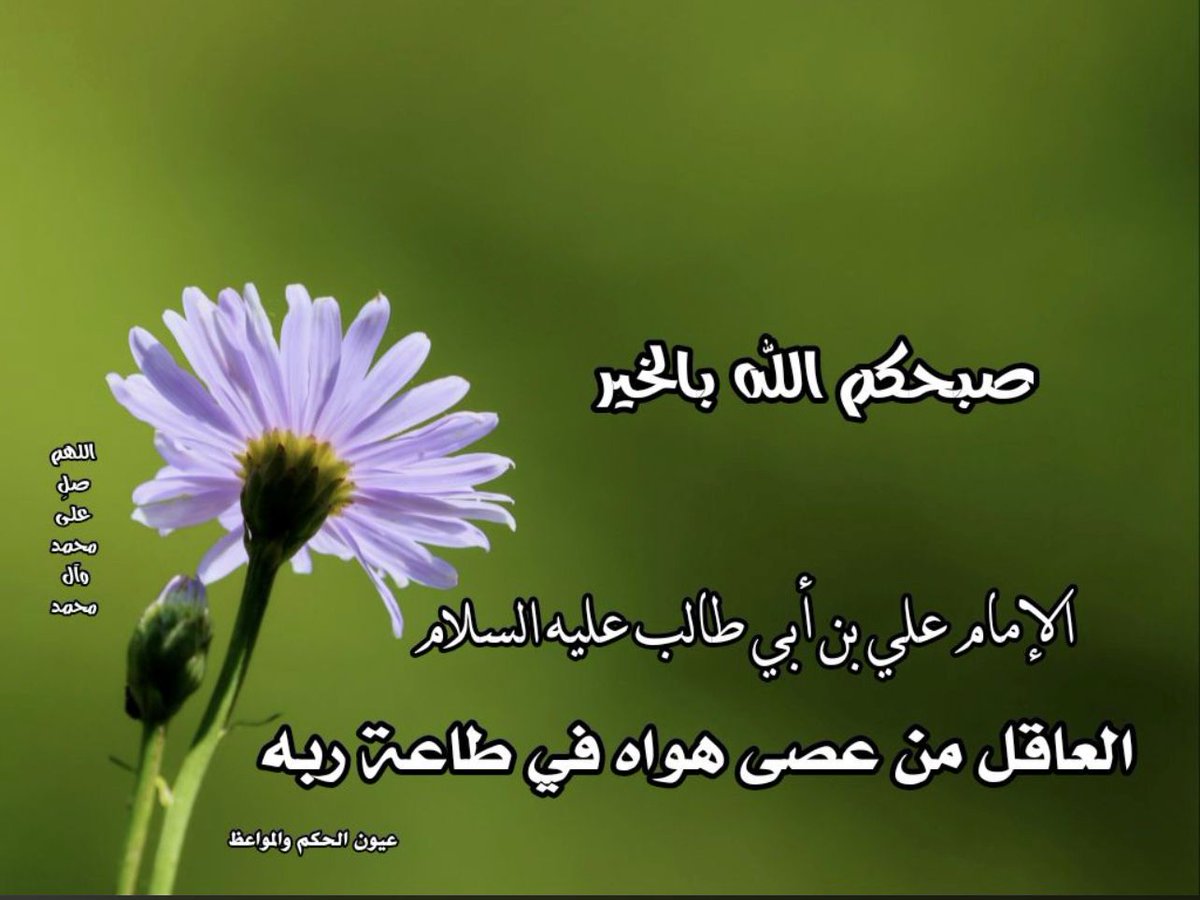 alhulale's tweet photo. https://t.co/Cv2L0xNAZn