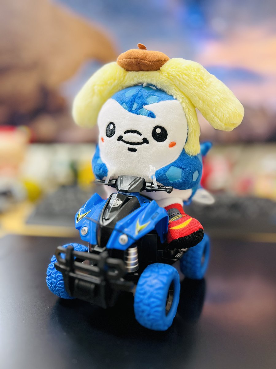 Pompomさん Pompom さん pompomさん Pompomさん Pompom さん pom pom】 Z X POM | 1G