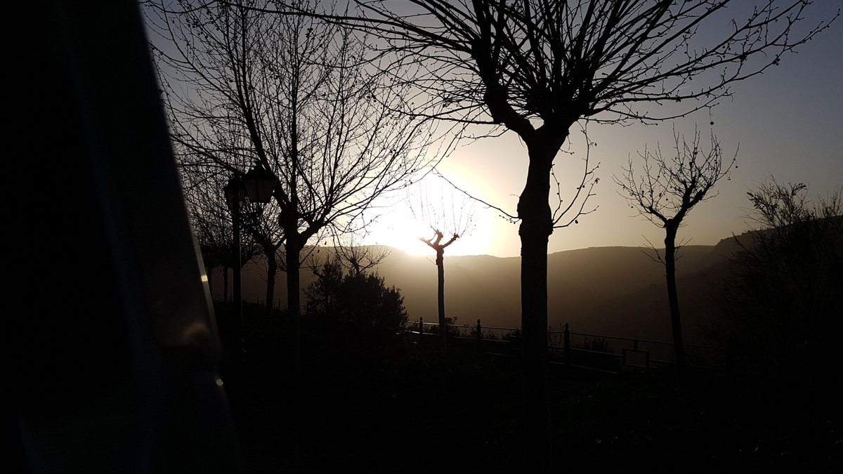 A_SanchezColl's tweet image. Buenos Días.