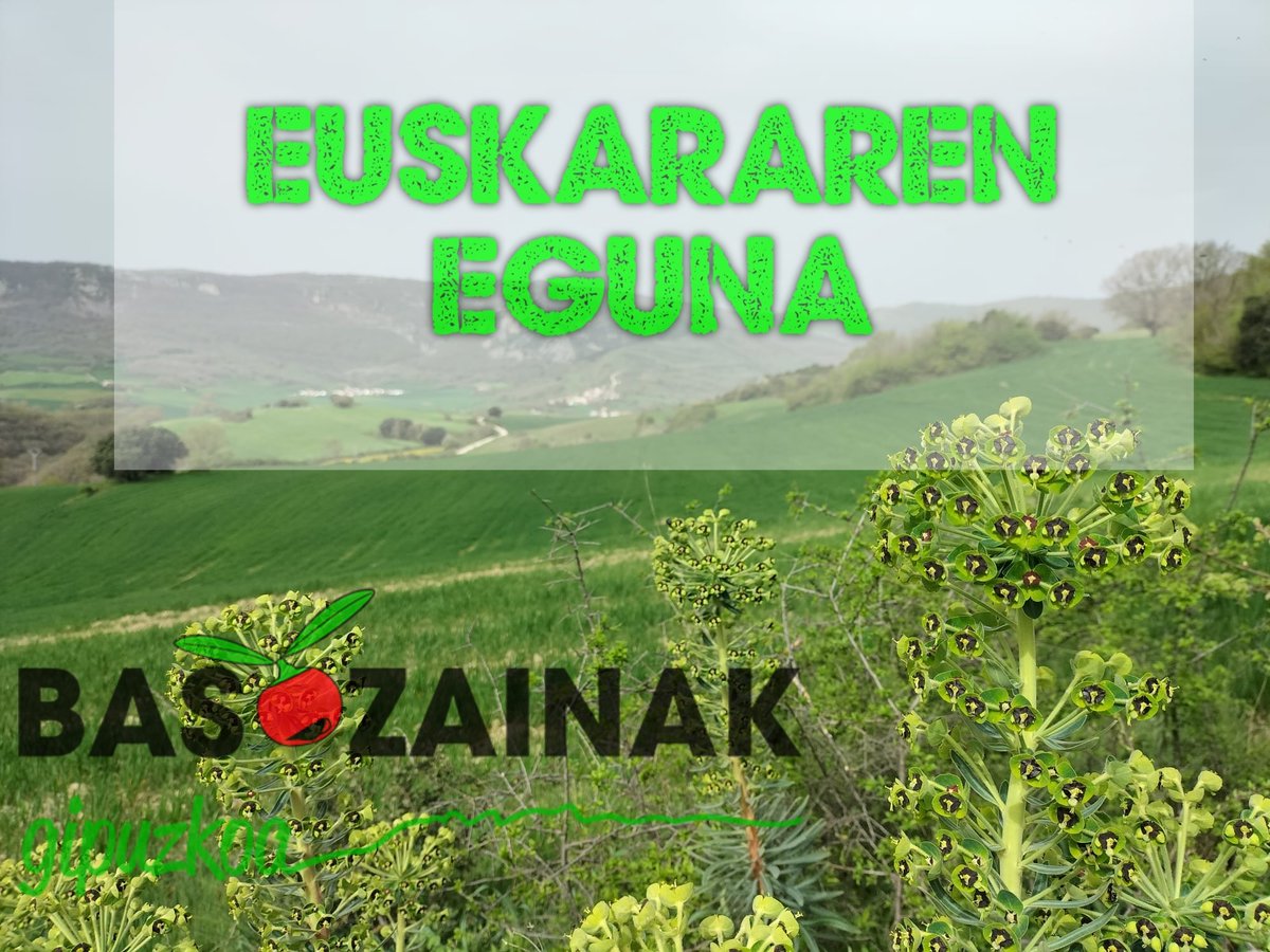 Basozainak #EuskararenNazioartekoEguna -rekin bat!
Euskarak 365 egun.
Basozainak euskaraz.
Basozainekin euskaraz.
Zerbitzu publikoak euskaraz!
#euskara
#basozainak
#zerbitzupublikoak