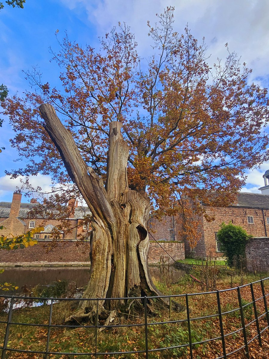 Hiking Manchester 🐝 tweet media